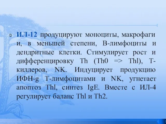 ИЛ-12 продуцируют моноциты, макрофаги и, в меньшей степени, В-лимфоциты и дендритные клетки.