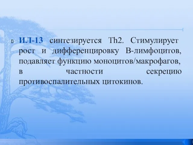 ИЛ-13 синтезируется Th2. Стимулирует рост и дифференцировку В-лимфоцитов, подавляет функцию моноцитов/макрофагов, в частности секрецию противоспалительных цитокинов.