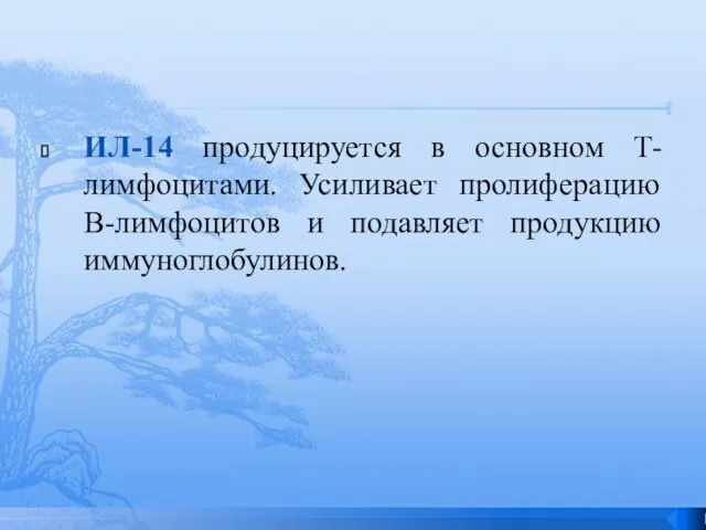 ИЛ-14 продуцируется в основном Т-лимфоцитами. Усиливает пролиферацию В-лимфоцитов и подавляет продукцию иммуноглобулинов.