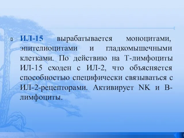 ИЛ-15 вырабатывается моноцитами, эпителиоцитами и гладкомышечными клетками. По действию на Т-лимфоциты ИЛ-15