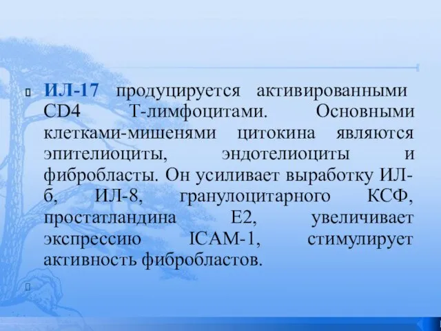 ИЛ-17 продуцируется активированными CD4 Т-лимфоцитами. Основными клетками-мишенями цитокина являются эпителиоциты, эндотелиоциты и