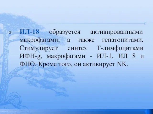 ИЛ-18 образуется активированными макрофагами, а также гепатоцитами. Стимулирует синтез Т-лимфоцитами ИФН-g, макрофагами