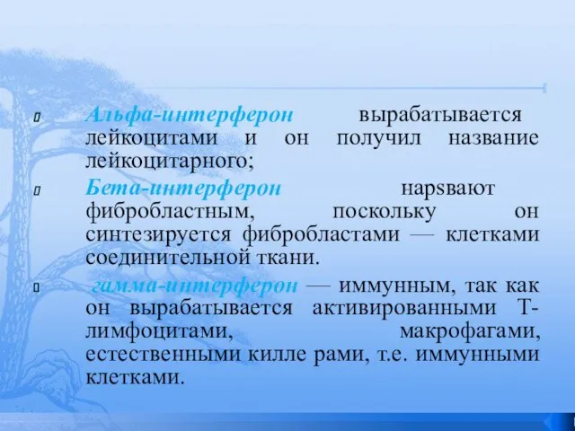 Альфа-интерферон вырабатывается лейкоцитами и он получил название лейкоцитарного; Бета-интерферон наpsвают фибробластным, поскольку