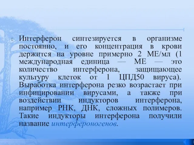 Интерферон синтезируется в организме постоянно, и его концентрация в крови держится на