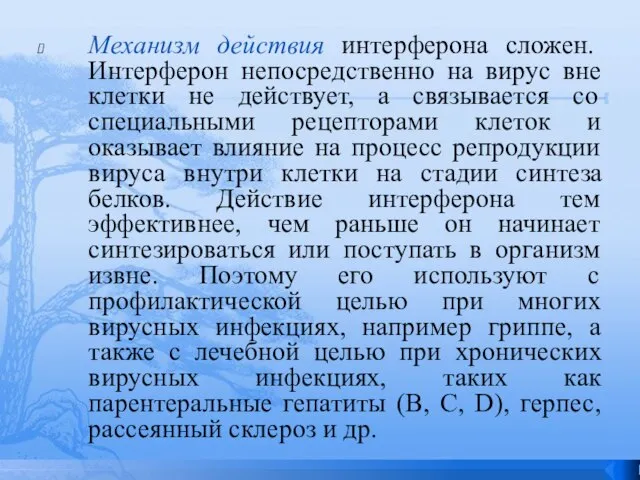 Механизм действия интерферона сложен. Интерферон непосредственно на вирус вне клетки не действует,