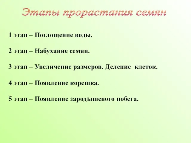 1 этап – Поглощение воды. 2 этап – Набухание семян. 3 этап