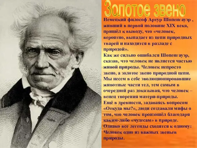 Золотое звено Немецкий философ Артур Шопенгауэр , живший в первой половине XIX