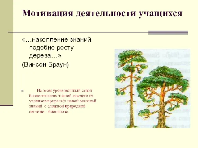 Мотивация деятельности учащихся «…накопление знаний подобно росту дерева…» (Винсон Браун) На этом