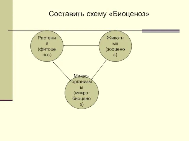 Составить схему «Биоценоз» Растения (фитоценоз) Животные (зооценоз) Микро- организмы (микро- биоценоз)