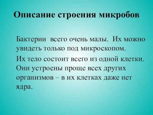 Описание строения микробов Бактерии всего очень малы. Их можно увидеть только под