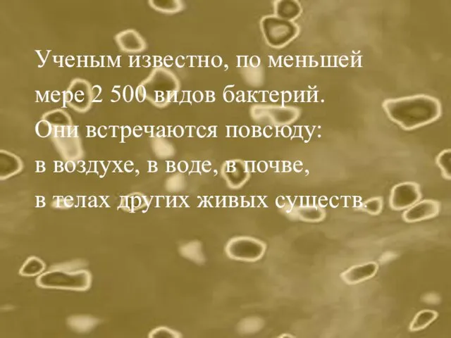 Ученым известно, по меньшей мере 2 500 видов бактерий. Они встречаются повсюду: