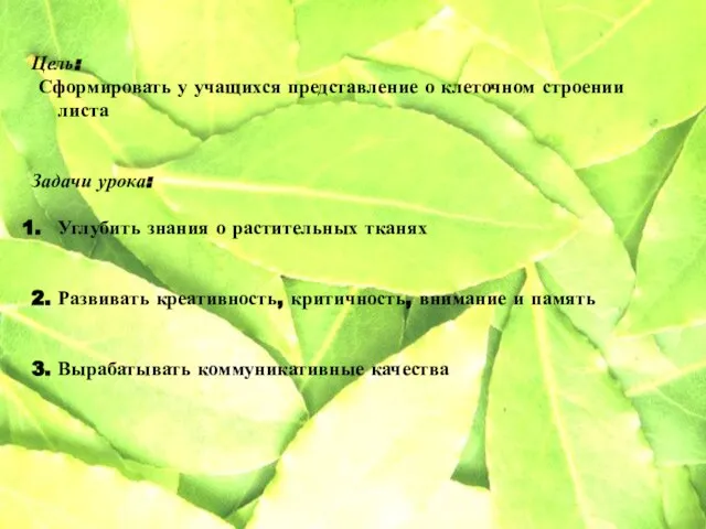 Цель: Сформировать у учащихся представление о клеточном строении листа Задачи урока: Углубить