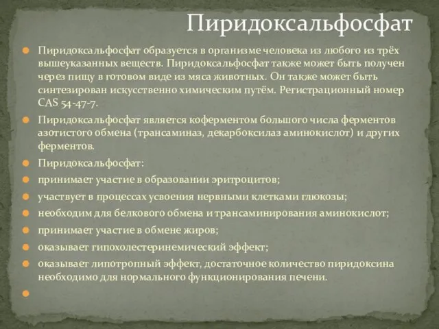 Пиридоксальфосфат образуется в организме человека из любого из трёх вышеуказанных веществ. Пиридоксальфосфат