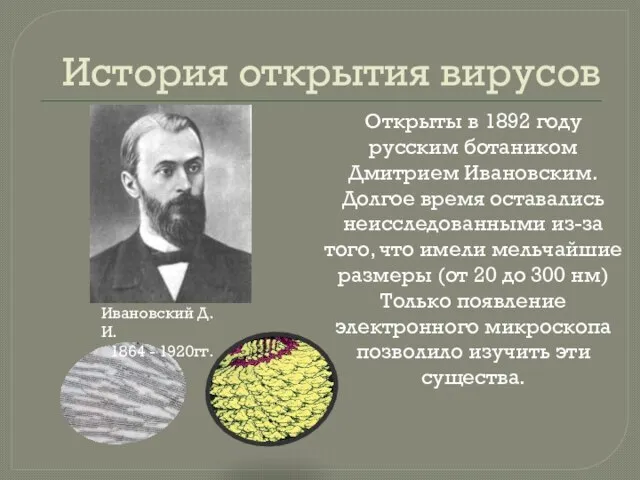 История открытия вирусов Открыты в 1892 году русским ботаником Дмитрием Ивановским. Долгое