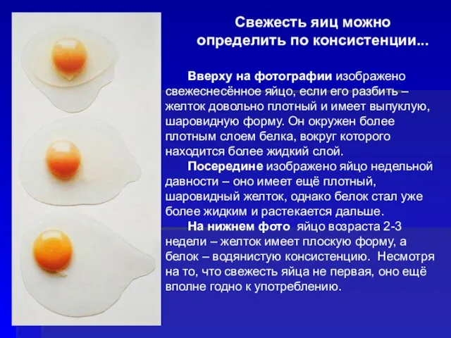Свежесть яиц можно определить по консистенции... Вверху на фотографии изображено свежеснесённое яйцо,