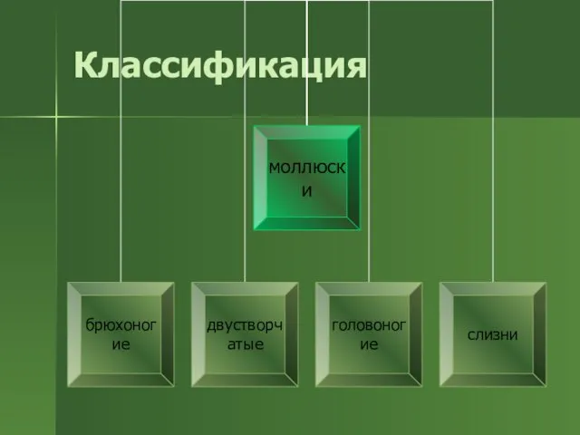 Классификация