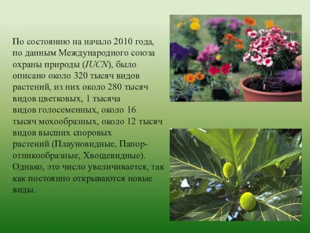 По состоянию на начало 2010 года, по данным Международного союза охраны природы