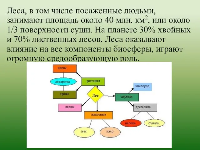 Леса, в том числе посаженные людьми, занимают площадь около 40 млн. км2,