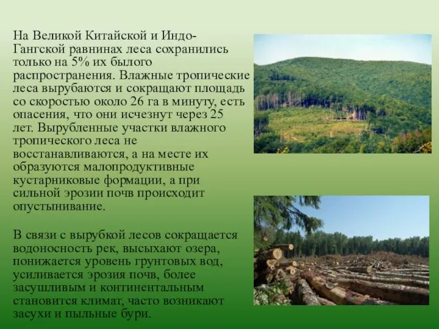 На Великой Китайской и Индо-Гангской равнинах леса сохранились только на 5% их