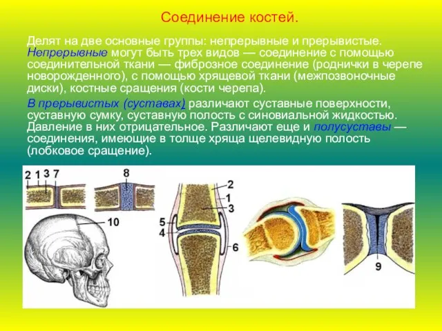 Делят на две основные группы: непрерывные и прерывистые. Непрерывные могут быть трех