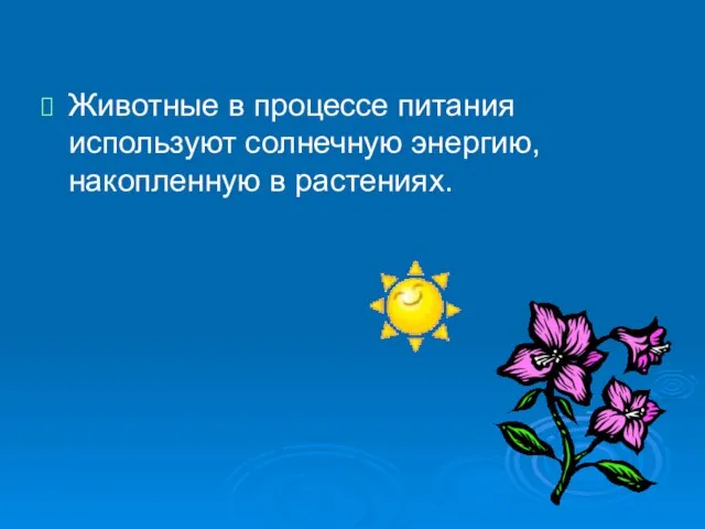 Животные в процессе питания используют солнечную энергию, накопленную в растениях.