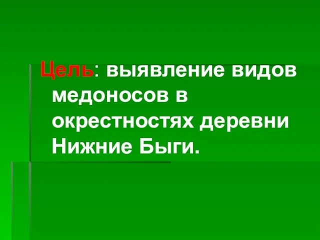 Цель: выявление видов медоносов в окрестностях деревни Нижние Быги.