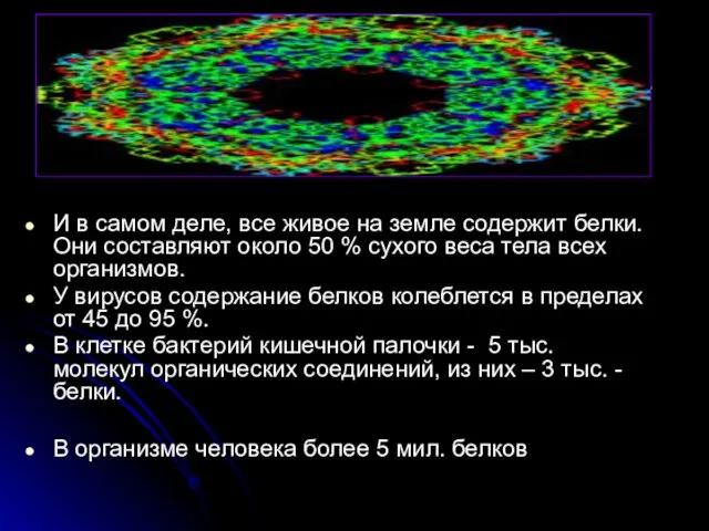 Наша задача: выяснить химическое строение и биологическую роль белков. И в самом