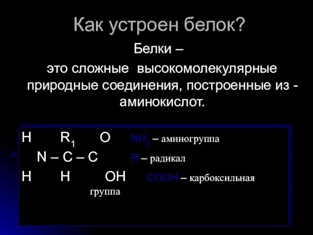 Как устроен белок? Белки – это сложные высокомолекулярные природные соединения, построенные из