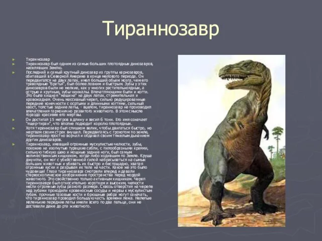 Тираннозавр Тираннозавр Тираннозавр был одним из самых больших плотоядных динозавров, населявших Землю.