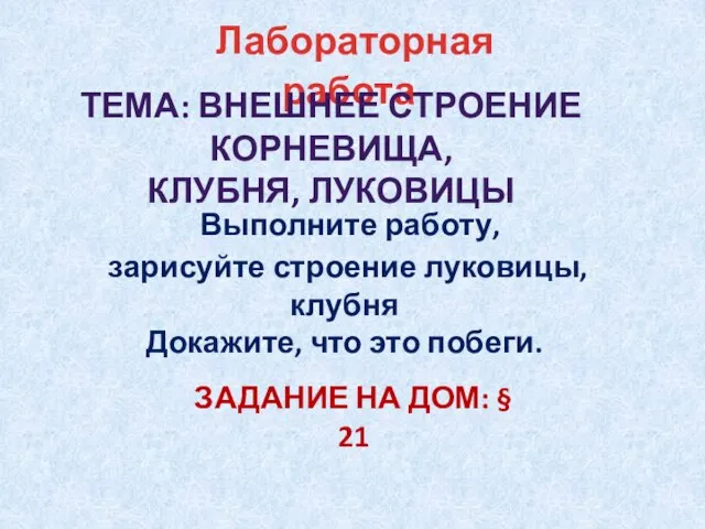 Лабораторная работа ТЕМА: Внешнее строение корневища, клубня, луковицы Выполните работу, зарисуйте строение