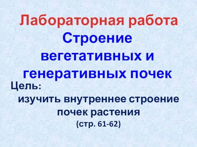 Лабораторная работа Строение вегетативных и генеративных почек Цель: изучить внутреннее строение почек растения (стр. 61-62)