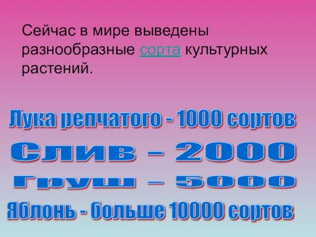 Сейчас в мире выведены разнообразные сорта культурных растений. Лука репчатого - 1000