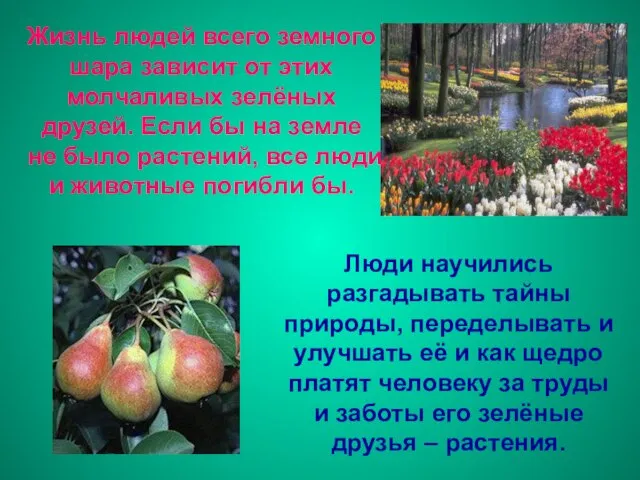 Жизнь людей всего земного шара зависит от этих молчаливых зелёных друзей. Если