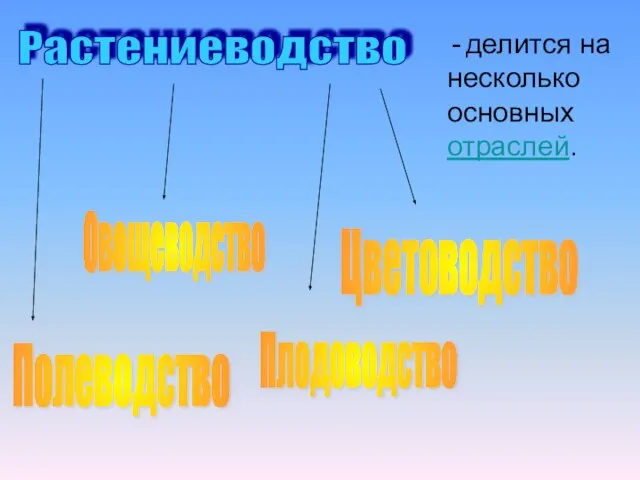 Полеводство Овощеводство Плодоводство Цветоводство Растениеводство - делится на несколько основных отраслей.