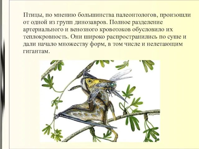 Птицы, по мнению большинства палеонтологов, произошли от одной из групп динозавров. Полное