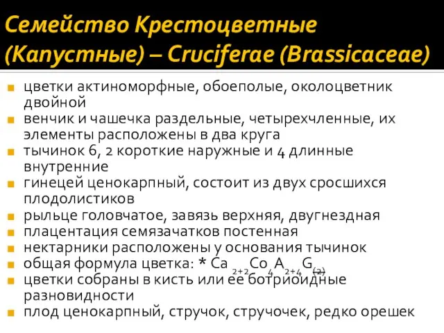 Семейство Крестоцветные (Капустные) – Cruciferae (Brassicaceae) цветки актиноморфные, обоеполые, околоцветник двойной венчик