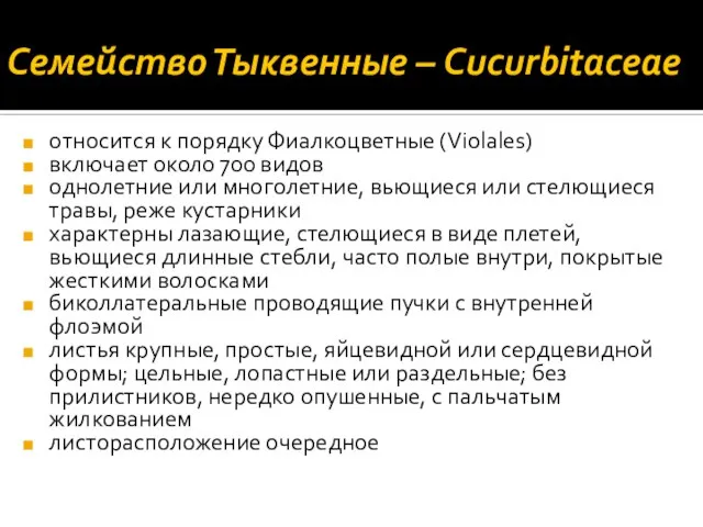 Семейство Тыквенные – Cucurbitaceae относится к порядку Фиалкоцветные (Violales) включает около 700