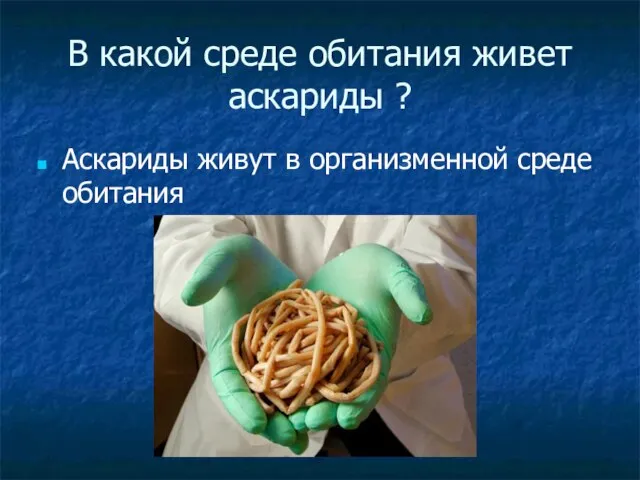 В какой среде обитания живет аскариды ? Аскариды живут в организменной среде обитания