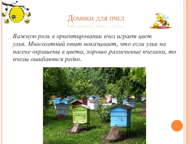 Домики для пчел Важную роль в ориентировании пчел играет цвет улья. Многолетний