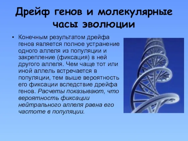 Дрейф генов и молекулярные часы эволюции Конечным результатом дрейфа генов является полное