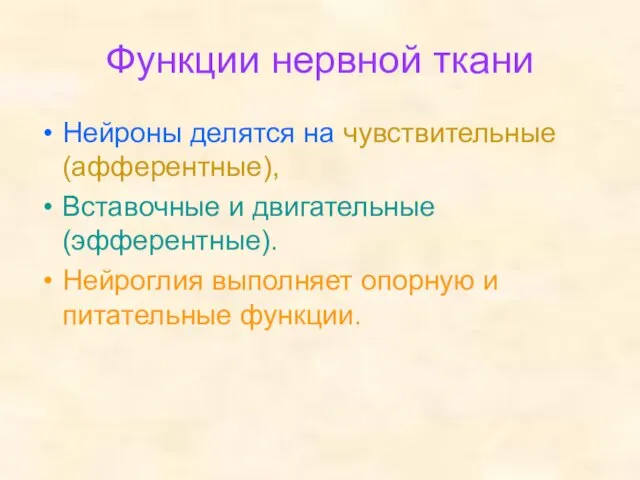 Функции нервной ткани Нейроны делятся на чувствительные(афферентные), Вставочные и двигательные (эфферентные). Нейроглия