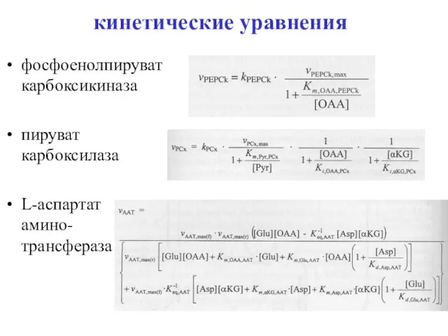 кинетические уравнения фосфоенолпируват карбоксикиназа пируват карбоксилаза L-аспартат амино- трансфераза