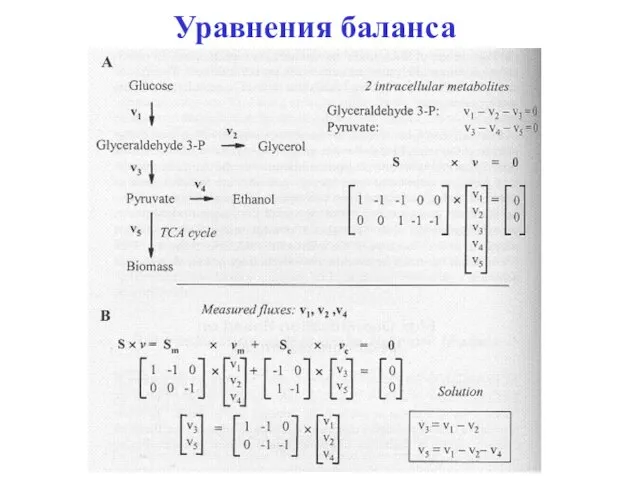 Уравнения баланса