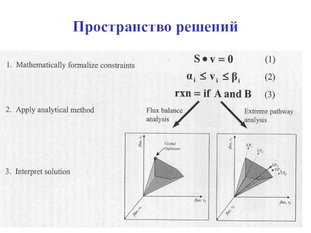 Пространство решений