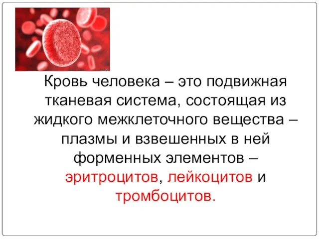 Кровь человека – это подвижная тканевая система, состоящая из жидкого межклеточного вещества