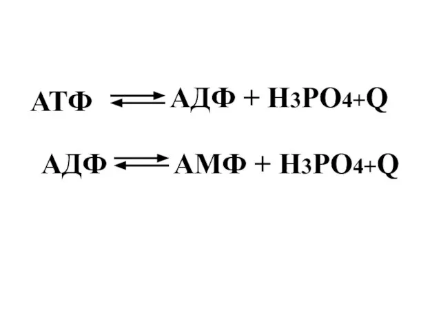 АДФ + Н3РО4+Q АМФ + Н3РО4+Q АТФ АДФ