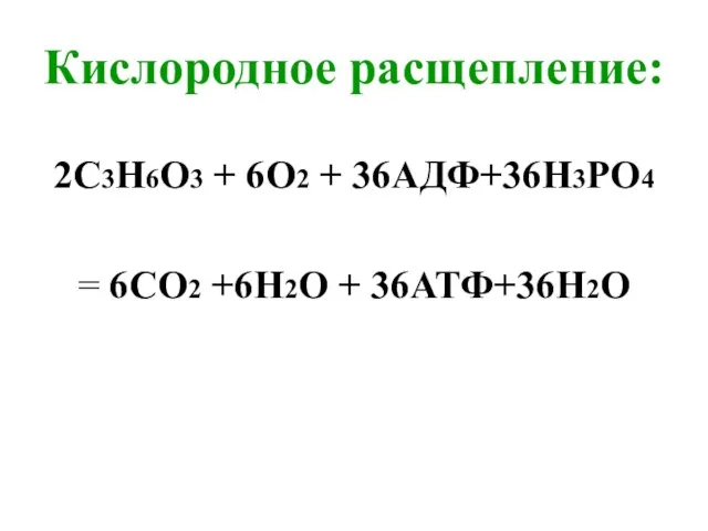 Кислородное расщепление: 2С3Н6О3 + 6О2 + 36АДФ+36Н3РО4 = 6СО2 +6Н2О + 36АТФ+36H2О