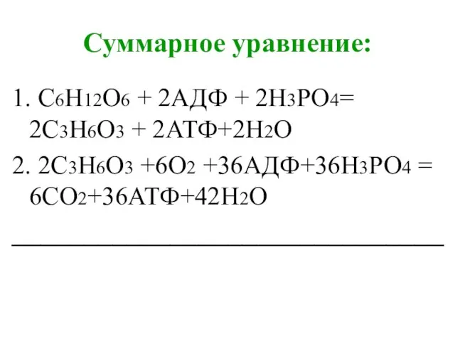 Суммарное уравнение: 1. С6Н12О6 + 2АДФ + 2Н3РО4= 2С3Н6О3 + 2АТФ+2Н2О 2.