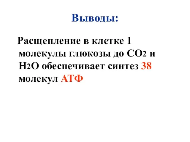 Выводы: Расщепление в клетке 1 молекулы глюкозы до СО2 и Н2О обеспечивает синтез 38 молекул АТФ