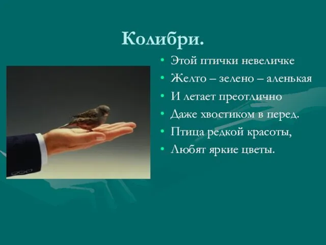 Колибри. Этой птички невеличке Желто – зелено – аленькая И летает преотлично